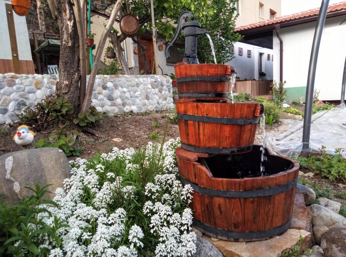 Guest House Milka Yagodina Exterior foto